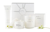 IKOU WHITE FLANNEL FLOWER “JOY” GIFT BOX